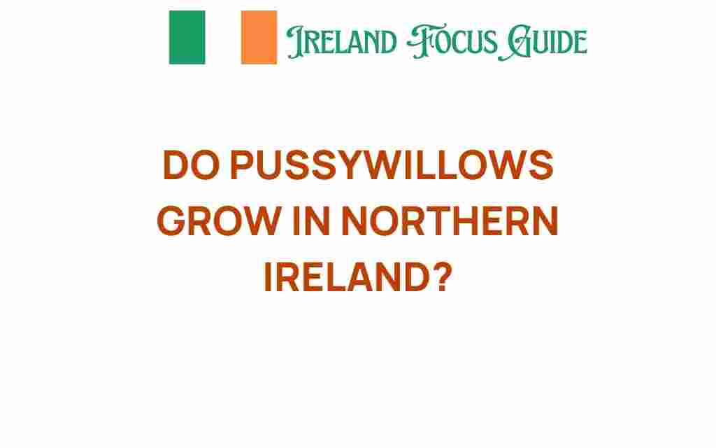 do-pussywillows-grow-in-northern-ireland