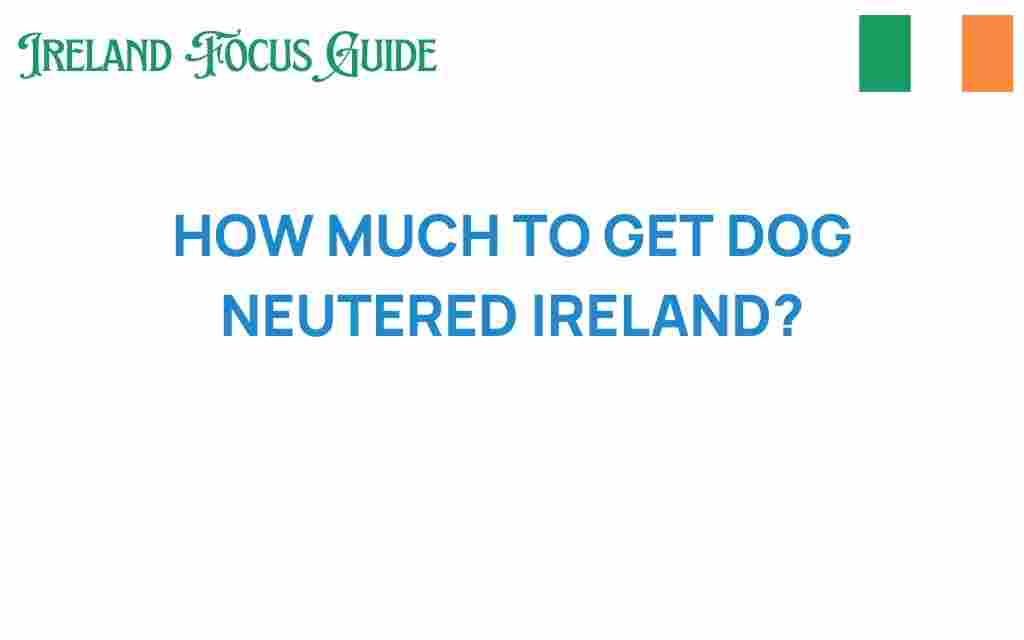 dog-neutering-costs-ireland