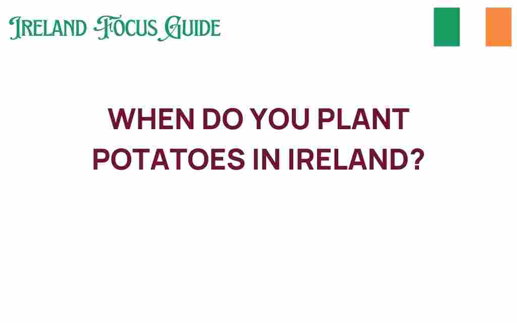 when-do-you-plant-potatoes-ireland