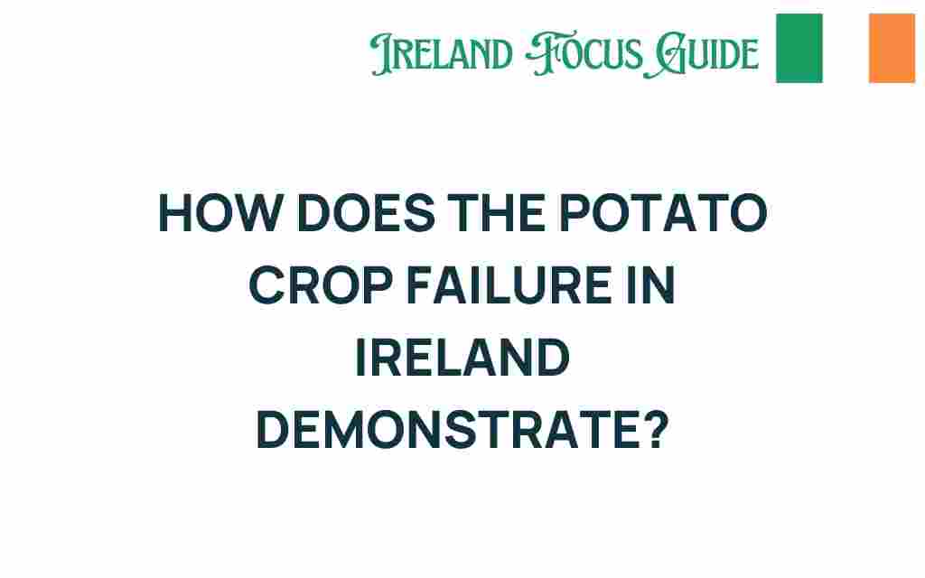 potato-crop-failure-ireland
