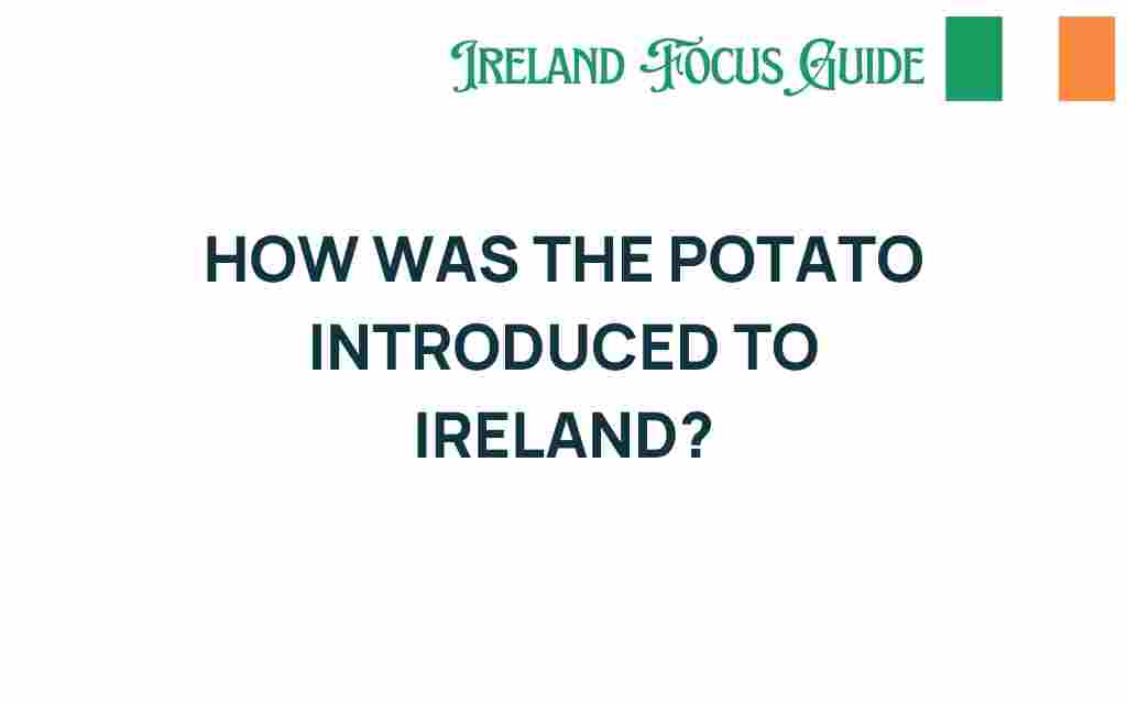 potato-introduction-ireland