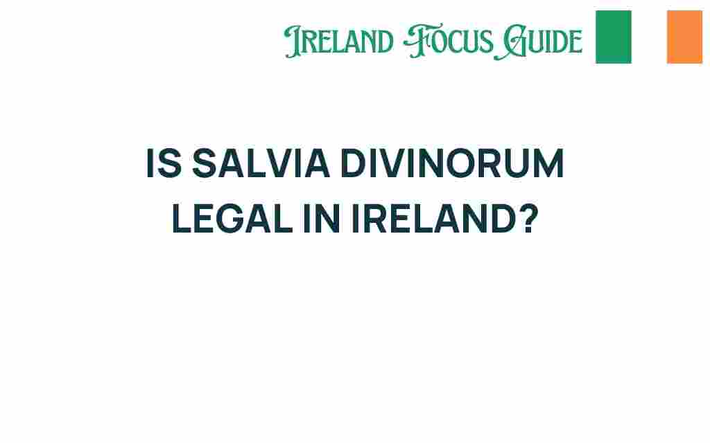 salvia-divinorum-legal-ireland