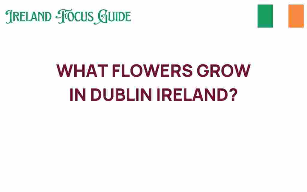 dublin-flowers