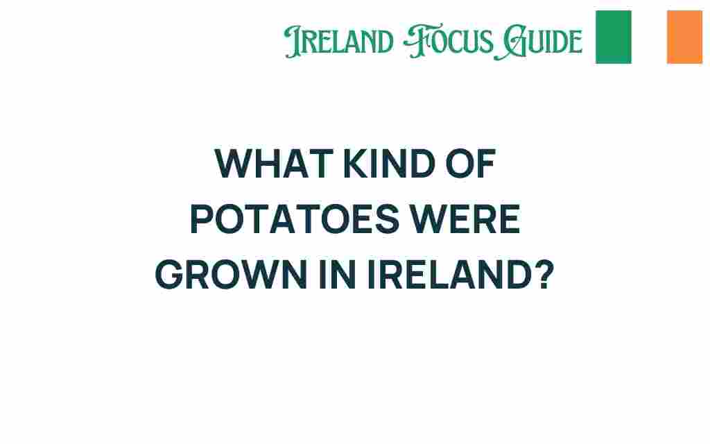 uncovering-potatoes-grown-in-ireland